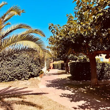 Les Pieds Dans L'eau *