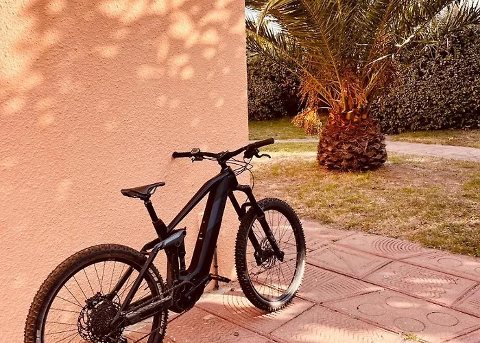 Les Pieds Dans L'eau Apartment Le Barcarès