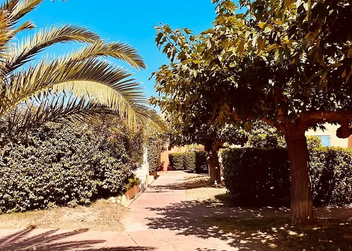 Les Pieds Dans L'eau *