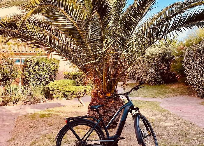 Les Pieds Dans L'eau